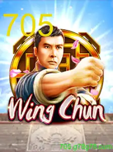 WingChun: arte, estratégia e habilidade